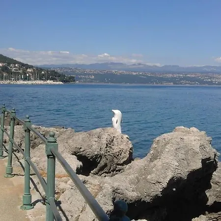 Daire Toni Ičići